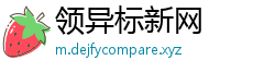 领异标新网