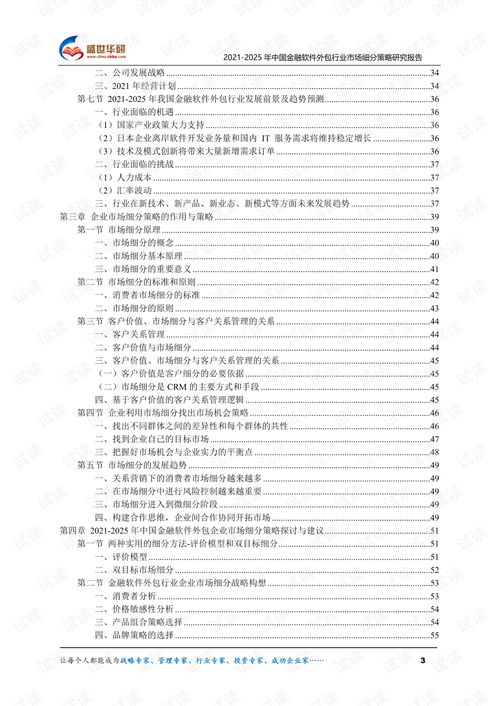 中國金融軟件外包行業(yè)市場細(xì)分策略研究（2021-2025）